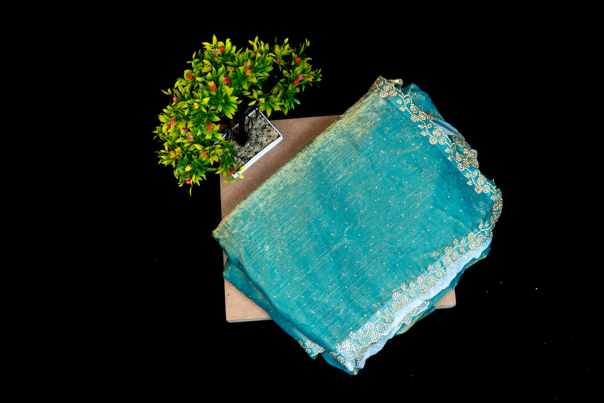 Frendy Saree with Delicate Stone Work — Available in 3 Colours